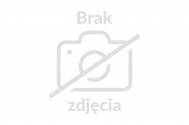 Piknik ekologiczny w SP3